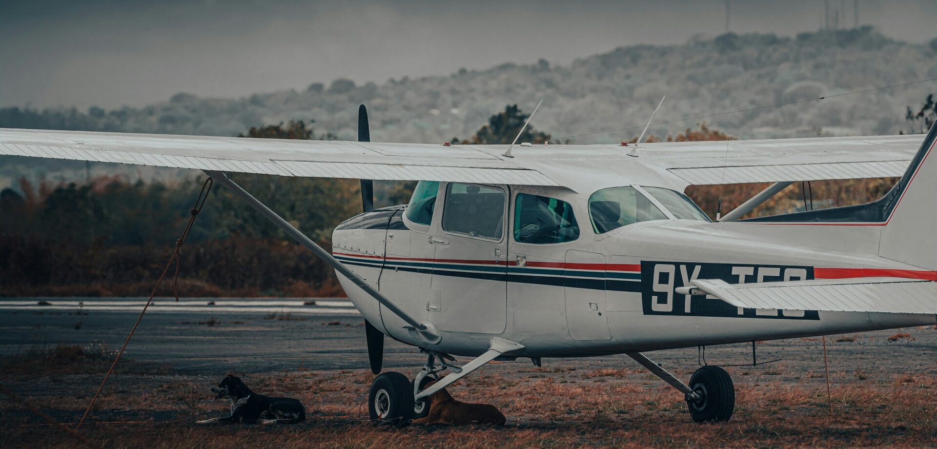 Avion privé de type Cessna posé sur un aérodrome au crépuscule